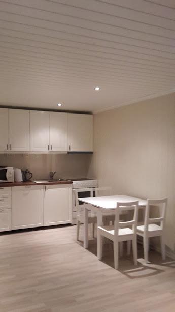 Odlandsvegen Basement Apartment Røldal Buitenkant foto