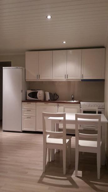 Odlandsvegen Basement Apartment Røldal Buitenkant foto