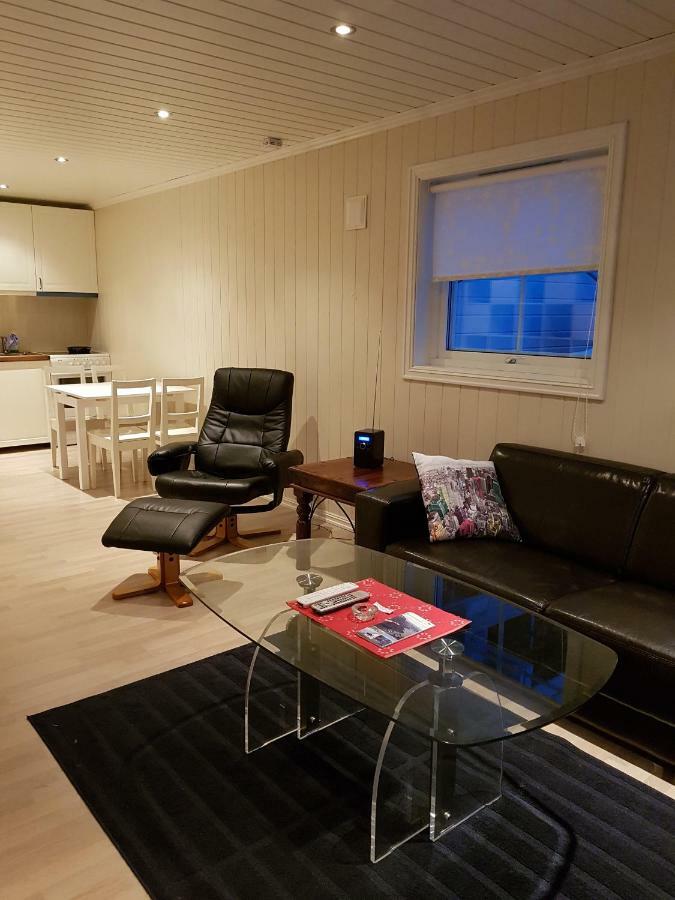 Odlandsvegen Basement Apartment Røldal Buitenkant foto